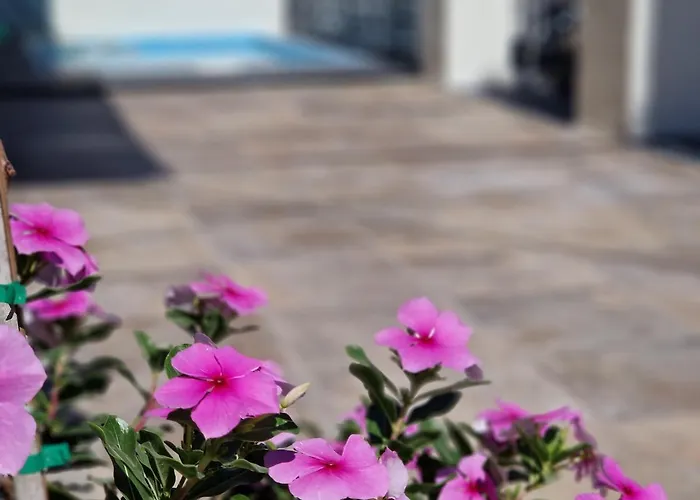 Del Parque Flats Balneario De Pina