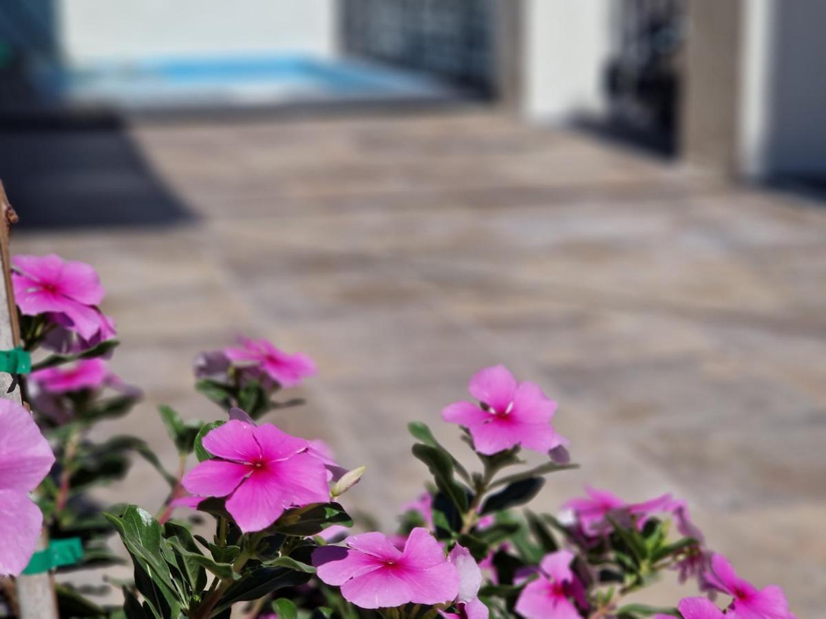 Willa Del Parque Flats Balneario De Pina Malaga